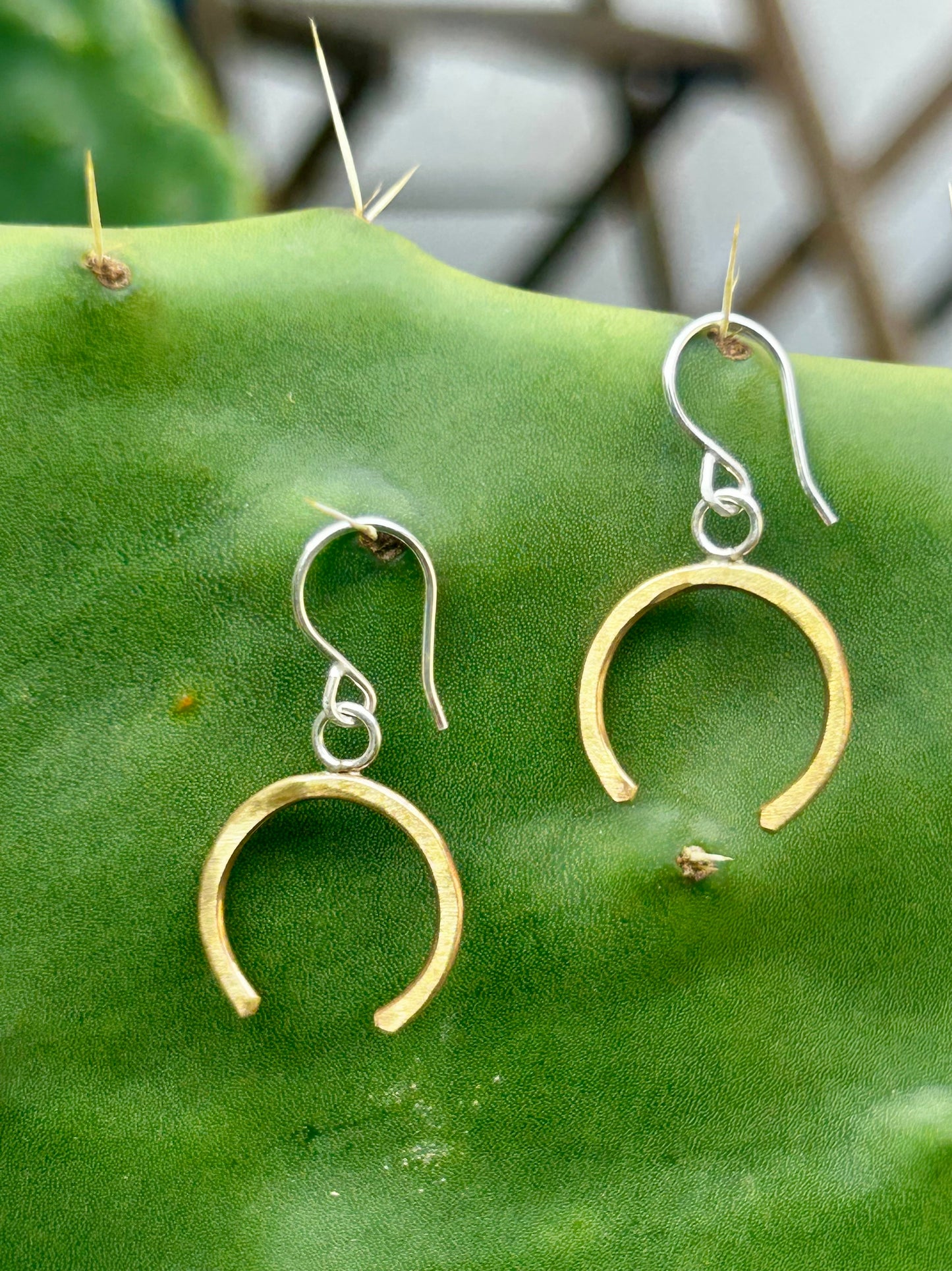 Lucky Horseshoe Drop Earrings