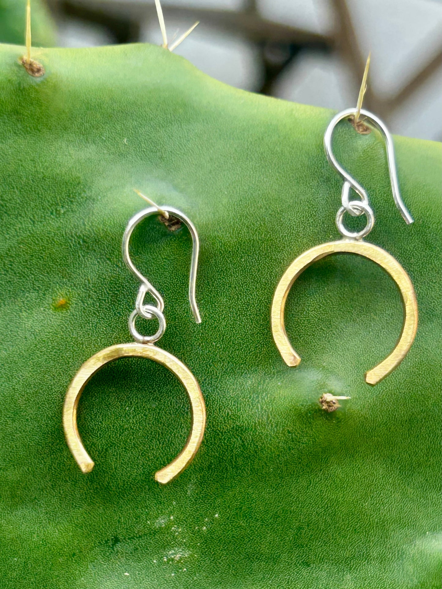 Lucky Horseshoe Drop Earrings