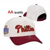 2509 Custom Wholesale Logo New Plain Sports OEM Cotton Snapback Baseball Embroidery Logo 6 Panel Hats Caps