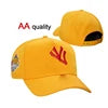 2509 Custom Wholesale Logo New Plain Sports OEM Cotton Snapback Baseball Embroidery Logo 6 Panel Hats Caps