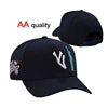 2509 Custom Wholesale Logo New Plain Sports OEM Cotton Snapback Baseball Embroidery Logo 6 Panel Hats Caps