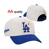2509 Custom Wholesale Logo New Plain Sports OEM Cotton Snapback Baseball Embroidery Logo 6 Panel Hats Caps
